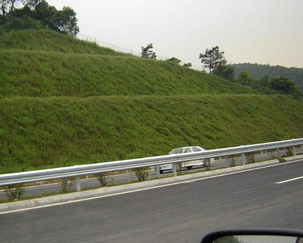 护坡草坪建植的技术要点