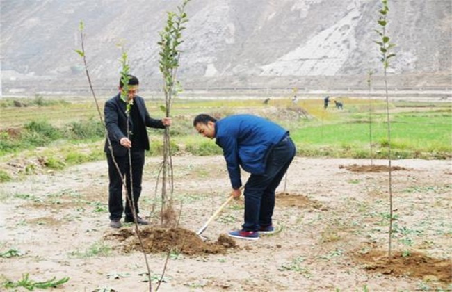 果树不相同季节的栽培要点(带土球果树什么季节可以栽培)