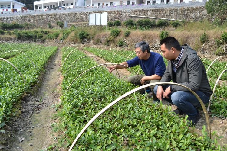 新农人学社种植技术