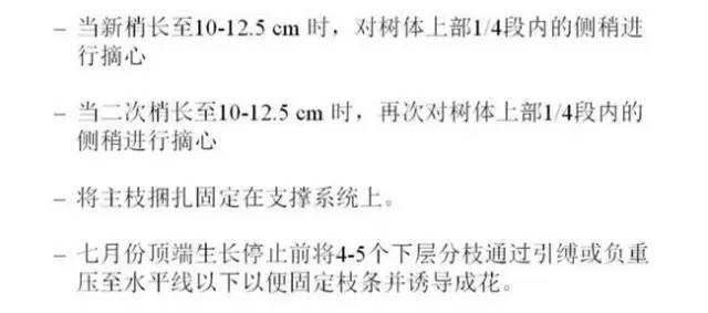 苹果树整形及修剪技术(苹果树修剪技术视频整形和修剪)