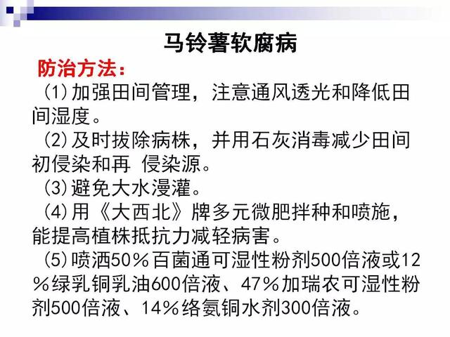 最全的马铃薯病害详解(马铃薯晚疫病是检疫性病害吗)