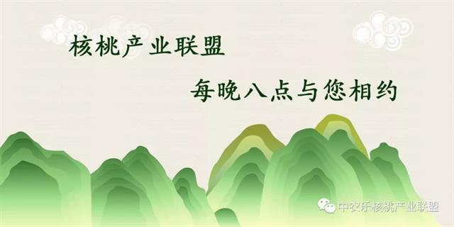 核桃管理三字经(三个核桃广告语)