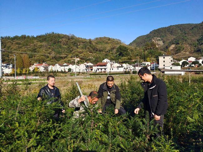 遂昌县林业局官网