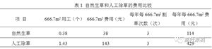 清香核桃园省力化栽培技术(清香核桃怎样才能高产)