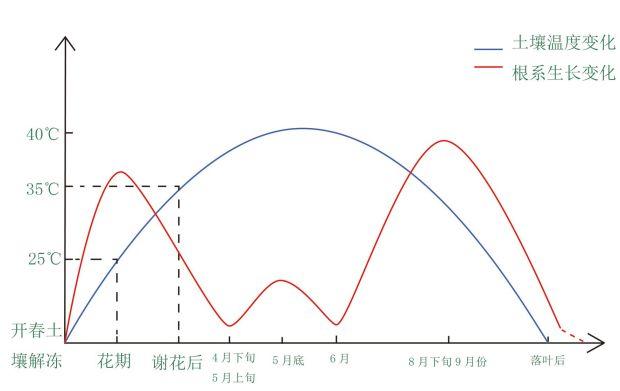 春施基肥的弊端(春季施肥注意事项)