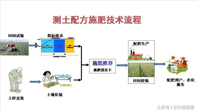 测土配方施肥技术——专题讲座(测土配方施肥详细步骤)