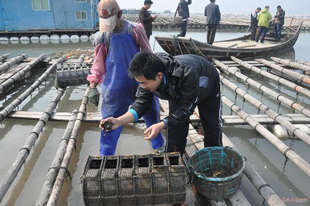 中国海参种植技术