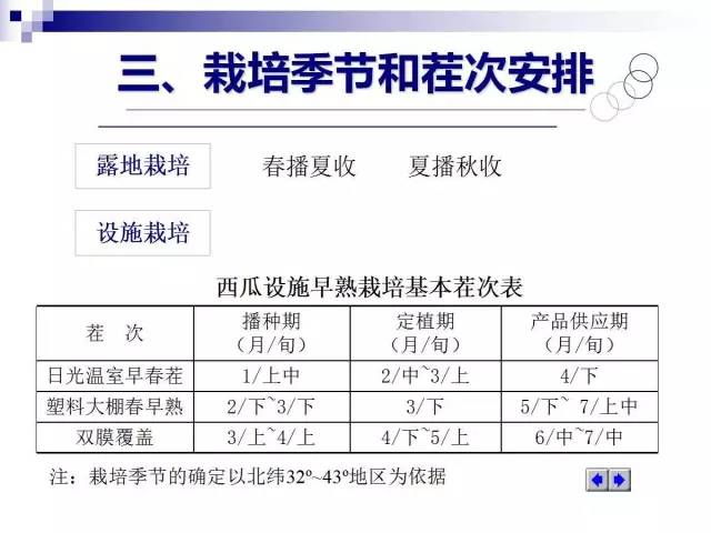 34个课件讲述种植西瓜(种植西瓜技术指导)