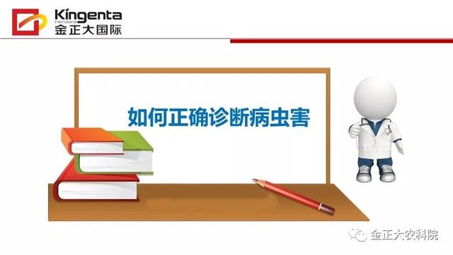 作物病虫害诊断及农药应用基础(农作物病虫害区域应急防治检测中心)