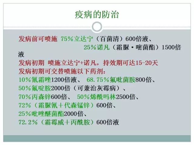 辣椒病虫害高清图谱 解决方案(小米辣椒的种植及病虫害预防)