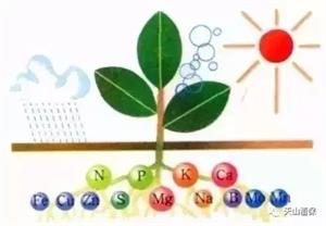 种地50条肥料知识(化学肥料知识点)