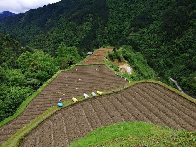 原生态种植方式