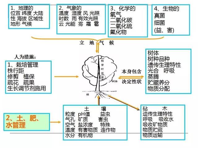 果园管理要点【精简版】(果园夏季管理技术要点)