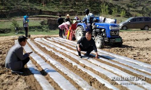 什么是玉米全膜双垄沟播抗旱栽培技术