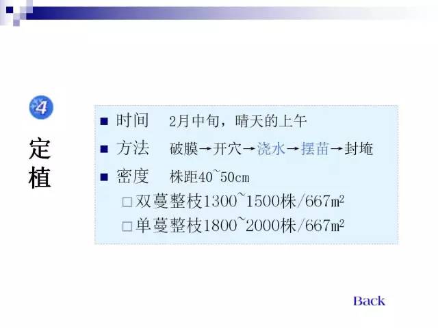 34个课件讲述种植西瓜(种植西瓜技术指导)