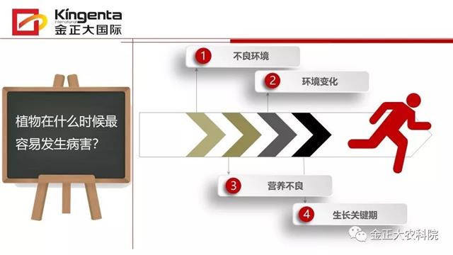 作物病虫害诊断及农药应用基础(农作物病虫害区域应急防治检测中心)