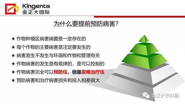 作物病虫害诊断及农药应用基础(农作物病虫害区域应急防治检测中心)