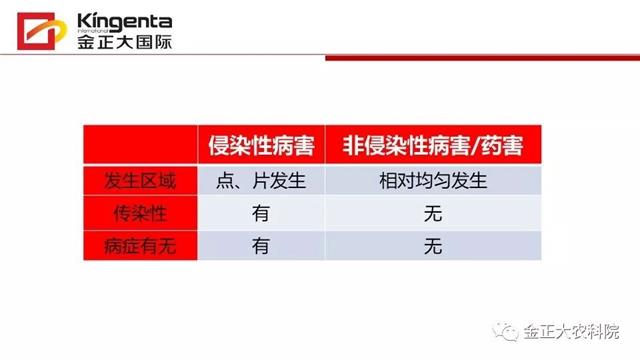 作物病虫害诊断及农药应用基础(农作物病虫害区域应急防治检测中心)