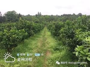 果树抗旱栽培技术(干旱地区果树抗旱栽植技术)