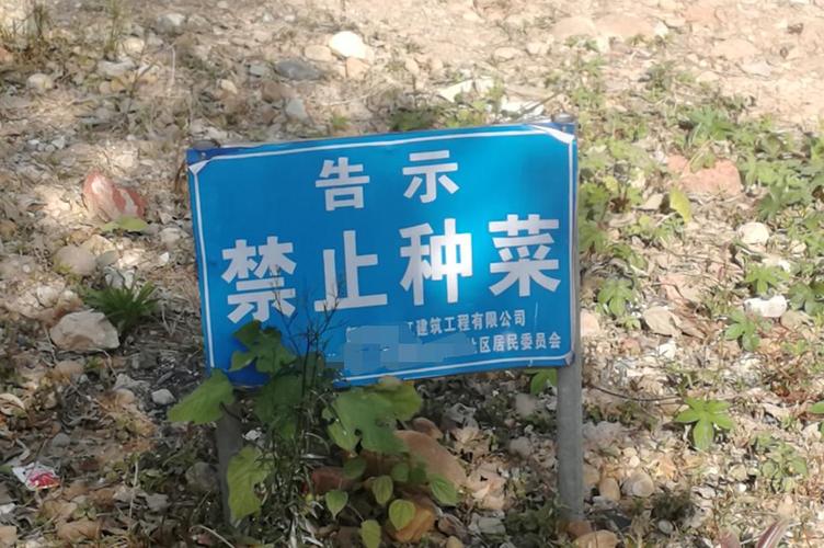 但它不能种菜