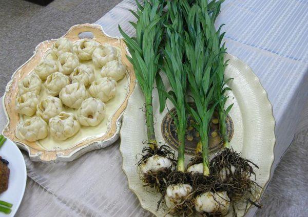 食用百合种植方法和时间种植药用百合如何种…