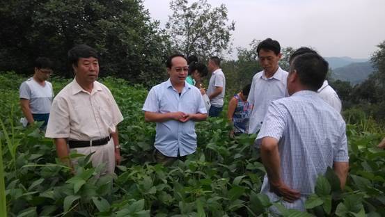 北京农业种植技术专家