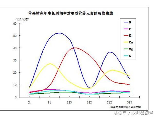 苹果秋冬施肥管理技术(苹果树冬季施肥好.还是来年春季好)