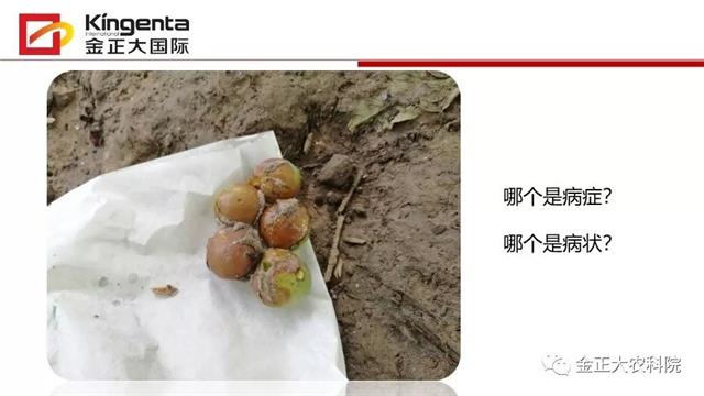 作物病虫害诊断及农药应用基础(农作物病虫害区域应急防治检测中心)