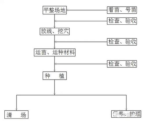 树木栽植工艺流程