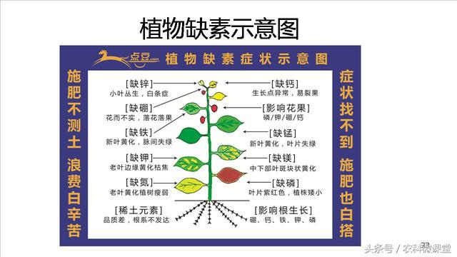 测土配方施肥技术——专题讲座(测土配方施肥详细步骤)