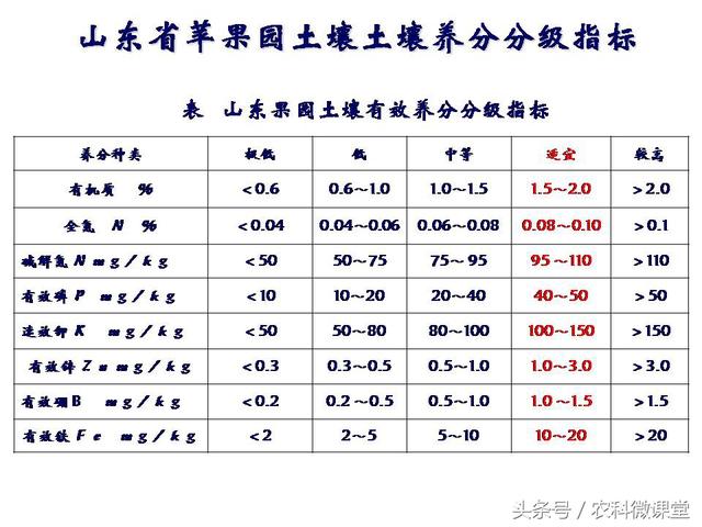 苹果秋冬施肥管理技术(苹果树冬季施肥好.还是来年春季好)