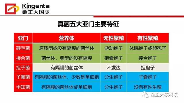 作物病虫害诊断及农药应用基础(农作物病虫害区域应急防治检测中心)