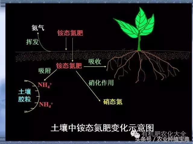 “肥料知识”总述(肥料知识)