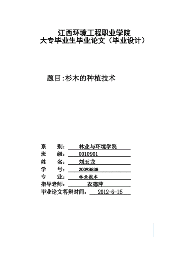 杉树种植与经营管理技术doc(杉树种植标准)