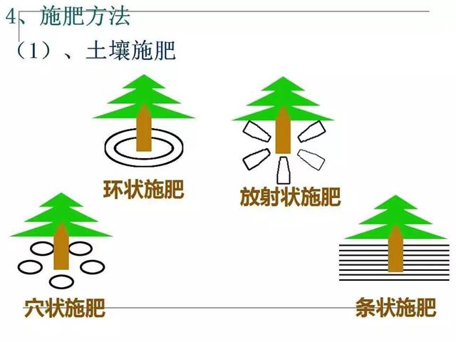 果园管理要点【精简版】(果园夏季管理技术要点)