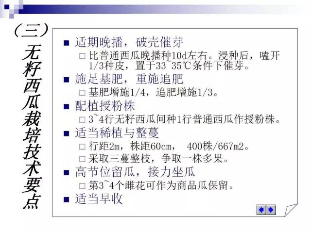 34个课件讲述种植西瓜(种植西瓜技术指导)