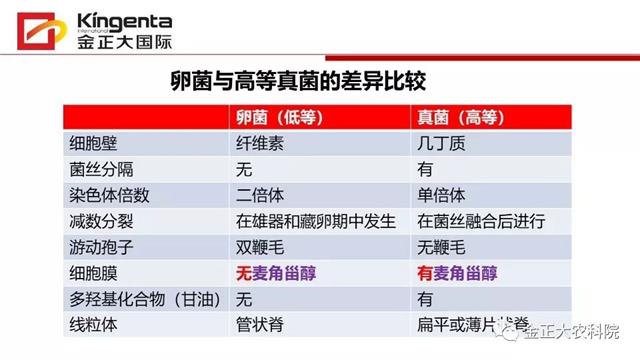 作物病虫害诊断及农药应用基础(农作物病虫害区域应急防治检测中心)