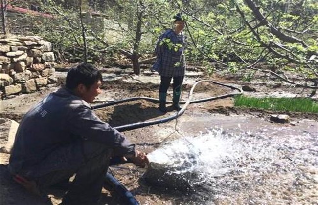 苹果树越冬防寒措施(树木越冬防寒措施)