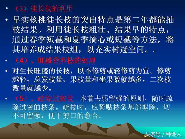 核桃整形修剪技术图解(树木整形修剪技术图解)