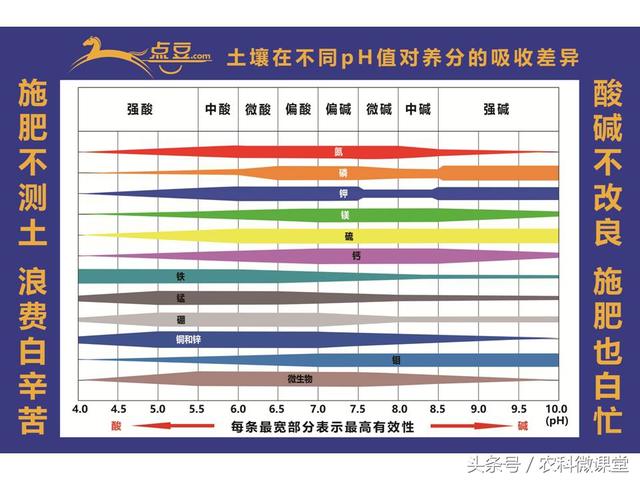 苹果秋冬施肥管理技术(苹果树冬季施肥好.还是来年春季好)