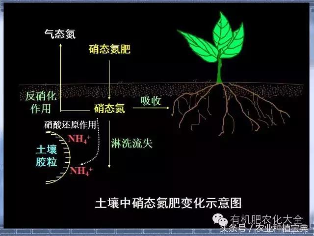 “肥料知识”总述(肥料知识)