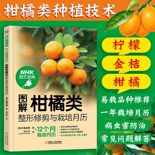 柑橘种植技术pdf(红美人柑橘种植技术)