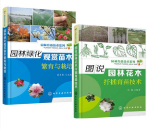 园林绿化苗木种植技术(园林绿化苗木种植技术规范pdf)