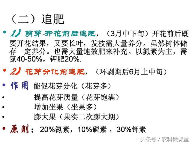 苹果秋冬施肥管理技术(苹果树冬季施肥好.还是来年春季好)