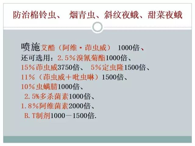 辣椒病虫害高清图谱 解决方案(小米辣椒的种植及病虫害预防)