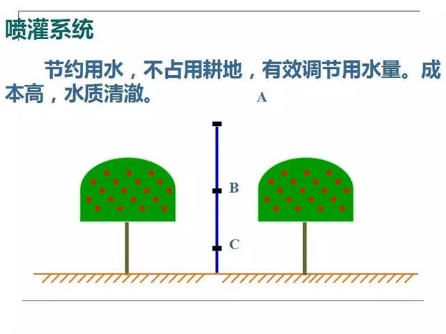 果园管理要点【精简版】(果园夏季管理技术要点)