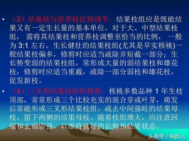 核桃整形修剪技术图解(树木整形修剪技术图解)