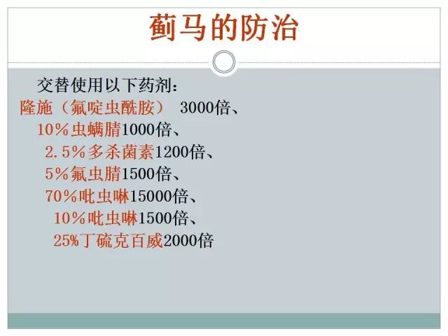 辣椒病虫害高清图谱 解决方案(小米辣椒的种植及病虫害预防)