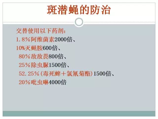 辣椒病虫害高清图谱 解决方案(小米辣椒的种植及病虫害预防)