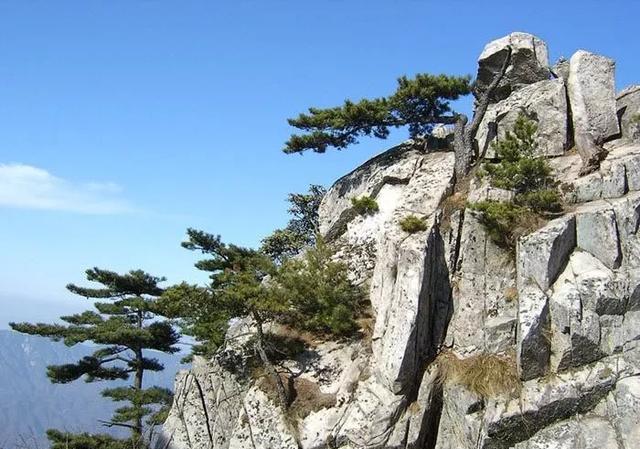 在今日头条(在今日头条买的东西怎样查单)